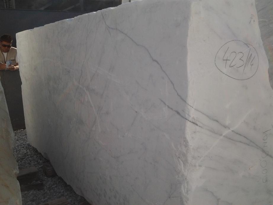 vista di un blocco di marmo bianco statuarietto