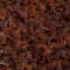 brown mahoganh edel