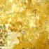 travertino gold antique. vein cut