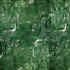 green malachite a